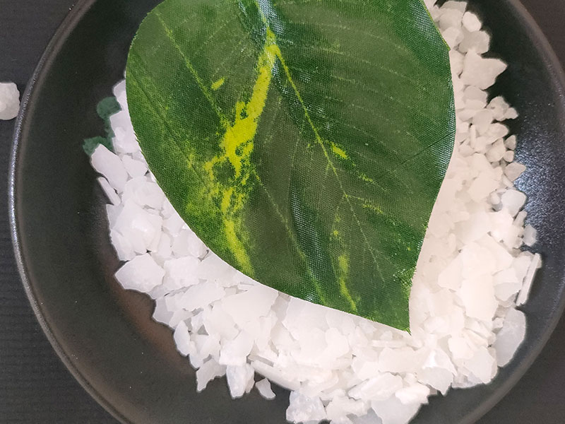 氯化鎂